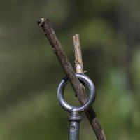 Rk.xbr :: Андрей Пристяжнюк