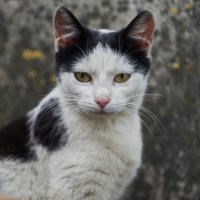 в профиль :: Александр Леонов в профиль :: Александр Леонов