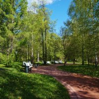 Утро в парке :: Nataly St. Утро в парке :: Nataly St.