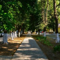 Феодосия. Аллея улицы Вити Коробкова летним утром. :: Пётр Чернега