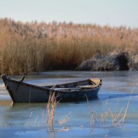 Во льду :: Виктор Журавлев 