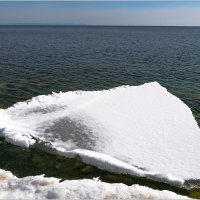 Оторвалась льдина :: Студия фотографии