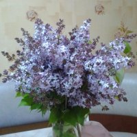 Майский. :: сергей ермошкин Майский. :: сергей ермошкин