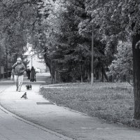 Прогулки в Весеннем Парке :: юрий поляков