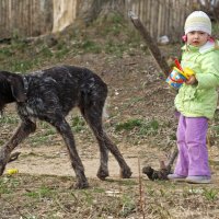 Дама с собачкой :: СЮ 