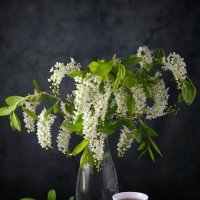 Чай со вкусом весны. :: Алексей Мезенцев