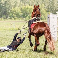 Конкур :: SanSan 