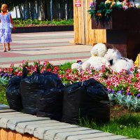 Так встречают лето коммунальщики! :: Владимир Так встречают лето коммунальщики! :: Владимир
