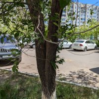 А вокруг,автомобили... :: Андрей Хлопонин А вокруг,автомобили... :: Андрей Хлопонин