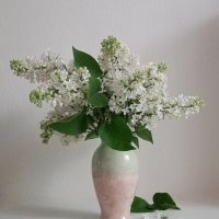 Майская сирень. :: Наталья Соколова Майская сирень. :: Наталья Соколова