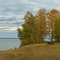 Берег Обского водохранилища :: Дмитрий Конев Берег Обского водохранилища :: Дмитрий Конев