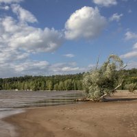 * :: Александр Лисовский * :: Александр Лисовский