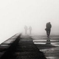 Туманные встречи. :: Анатолий Щербак Туманные встречи. :: Анатолий Щербак