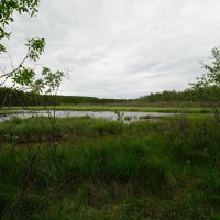 Уральские пейзажи... :: Николай Гирш Уральские пейзажи... :: Николай Гирш