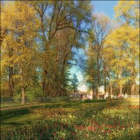 Фестиваль тюльпанов. :: Лилия * Фестиваль тюльпанов. :: Лилия *