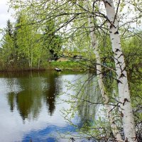 Майским днем на даче :: Галина Нестратова