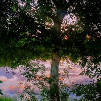 Вечер :: Сергей Кочнев