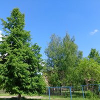 пейзаж :: Владимир пейзаж :: Владимир
