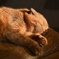 * :: Вадим 