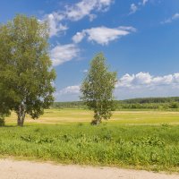 Майский пейзаж :: Александр Синдерёв Майский пейзаж :: Александр Синдерёв