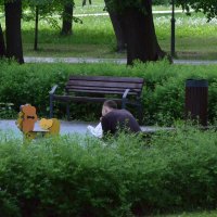 Читающий. :: Наталья Вязигина Читающий. :: Наталья Вязигина