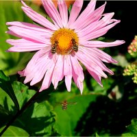 . :: Leonid Rutov