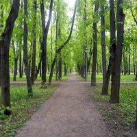 В усадьбе "Михалково", Москва :: Елена 