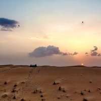 UAE 66 :: Arturs Ancans