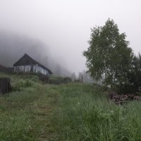 На краю тумана :: Марина Фомина. На краю тумана :: Марина Фомина.