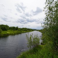 Река Турья... :: Николай Гирш