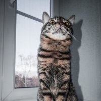 ... :: Жора Житников ... :: Жора Житников