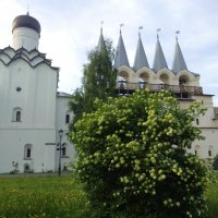 Церковь Покрова Пресвятой Богородицы с колокольней :: Сергей Кочнев Церковь Покрова Пресвятой Богородицы с колокольней :: Сергей Кочнев
