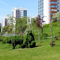 Мишки в городе :: Лариса С. Мишки в городе :: Лариса С.
