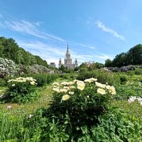 Ботанический сад МГУ :: Татьяна Тюменка Ботанический сад МГУ :: Татьяна Тюменка