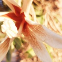 14  КЛОС (298) :: CLOSE WAYS ALL