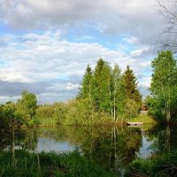 Перед дождем :: Галина Нестратова Перед дождем :: Галина Нестратова