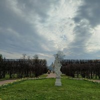 Весенний день в парке. :: Ольга Весенний день в парке. :: Ольга