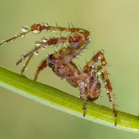 Утром... :: Андрей Пристяжнюк Утром... :: Андрей Пристяжнюк
