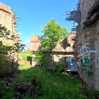 д.Белошкино :: Артем 