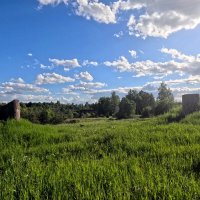 д.Белошкино :: Артем д.Белошкино :: Артем