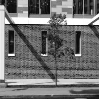 Уличная фотография. Тени, геометрия. :: Любимова Ольга