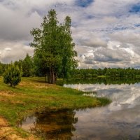 Дождь покапал и прошел 2. :: Андрей Дворников