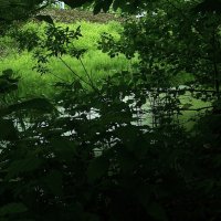 Возле железки. :: Василий Палий Возле железки. :: Василий Палий