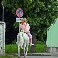 Бензин подорожал :: Валерий Иванович Бензин подорожал :: Валерий Иванович