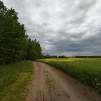 майская непогода :: Алексей Клименко майская непогода :: Алексей Клименко