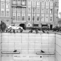 У голубей все под контролем, даже вход в метро. :: Любимова Ольга У голубей все под контролем, даже вход в метро. :: Любимова Ольга