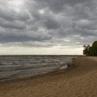 * :: Светлана Воробьева