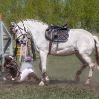 Конкур :: SanSan 