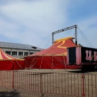 Цирк приехал... :: Галина Ильясова