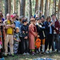 Зрительский интерес :: Татьяна Машошина Зрительский интерес :: Татьяна Машошина